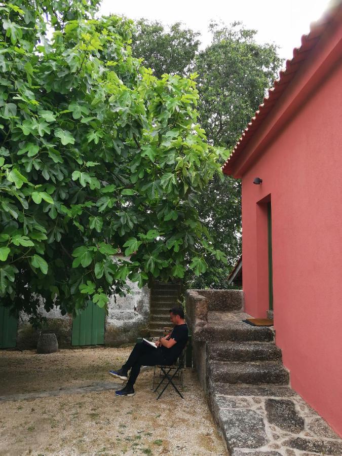 Quinta Do Santinho Villa Amarante Luaran gambar