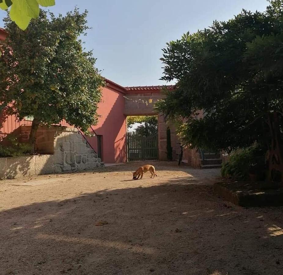 Quinta Do Santinho Villa Amarante Luaran gambar