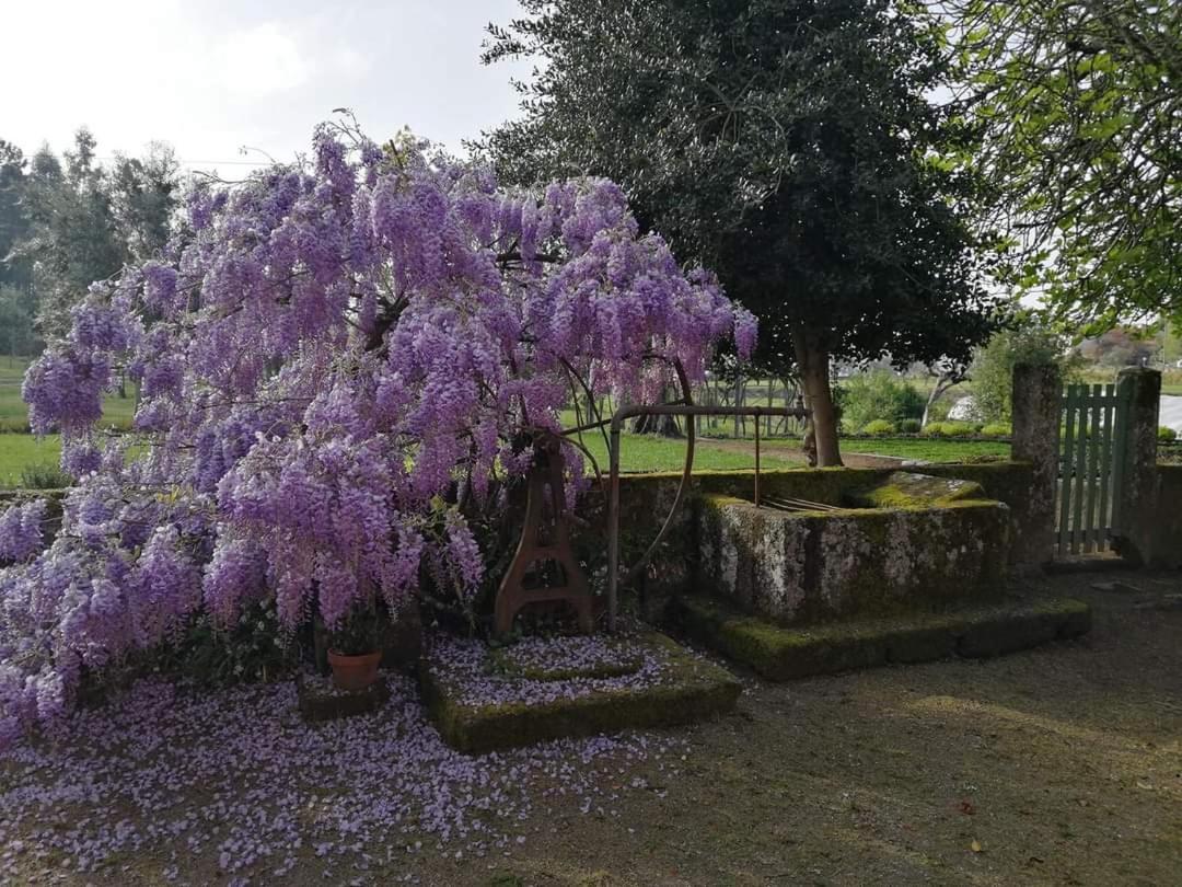 Quinta Do Santinho Villa Amarante Luaran gambar